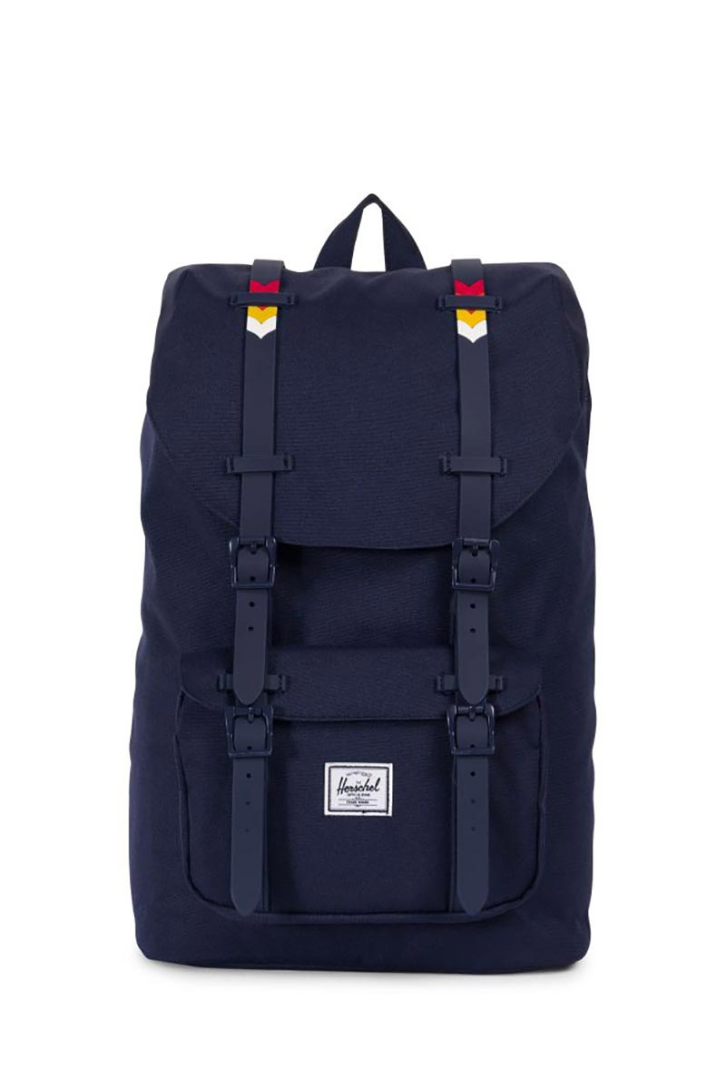 Herschel best sale rainbow backpack