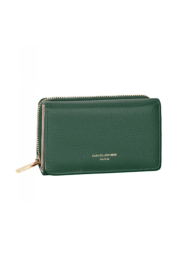 David Jones Women's Wallet Green