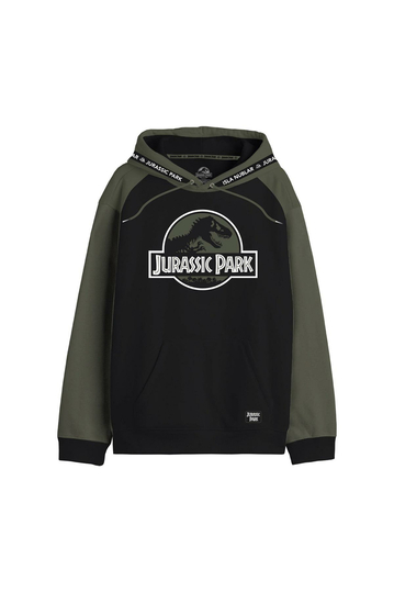 Cotton Division Hoodie Color Block Jurassic Park Logo